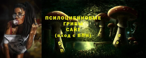 Альфа ПВП Аркадак